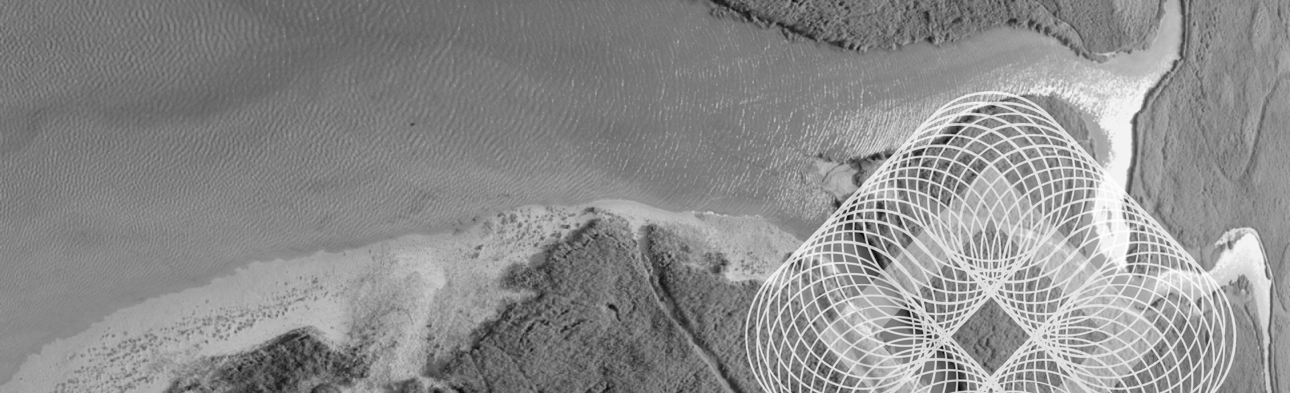 United kiest voor Drupal en VDMi