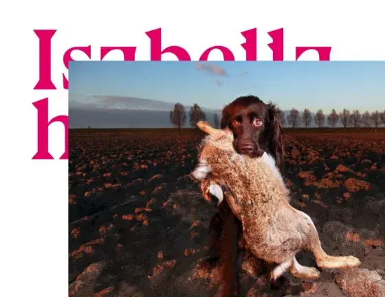 Fotomuseum - Drupal-website voor de cultuursector